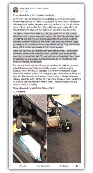 Illustration for article titled Dog Dies On United Flight After Flight Attendant Forces Him To Ride In Overhead Compartment